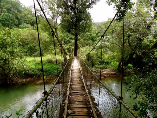 Coorg Weekend Tour